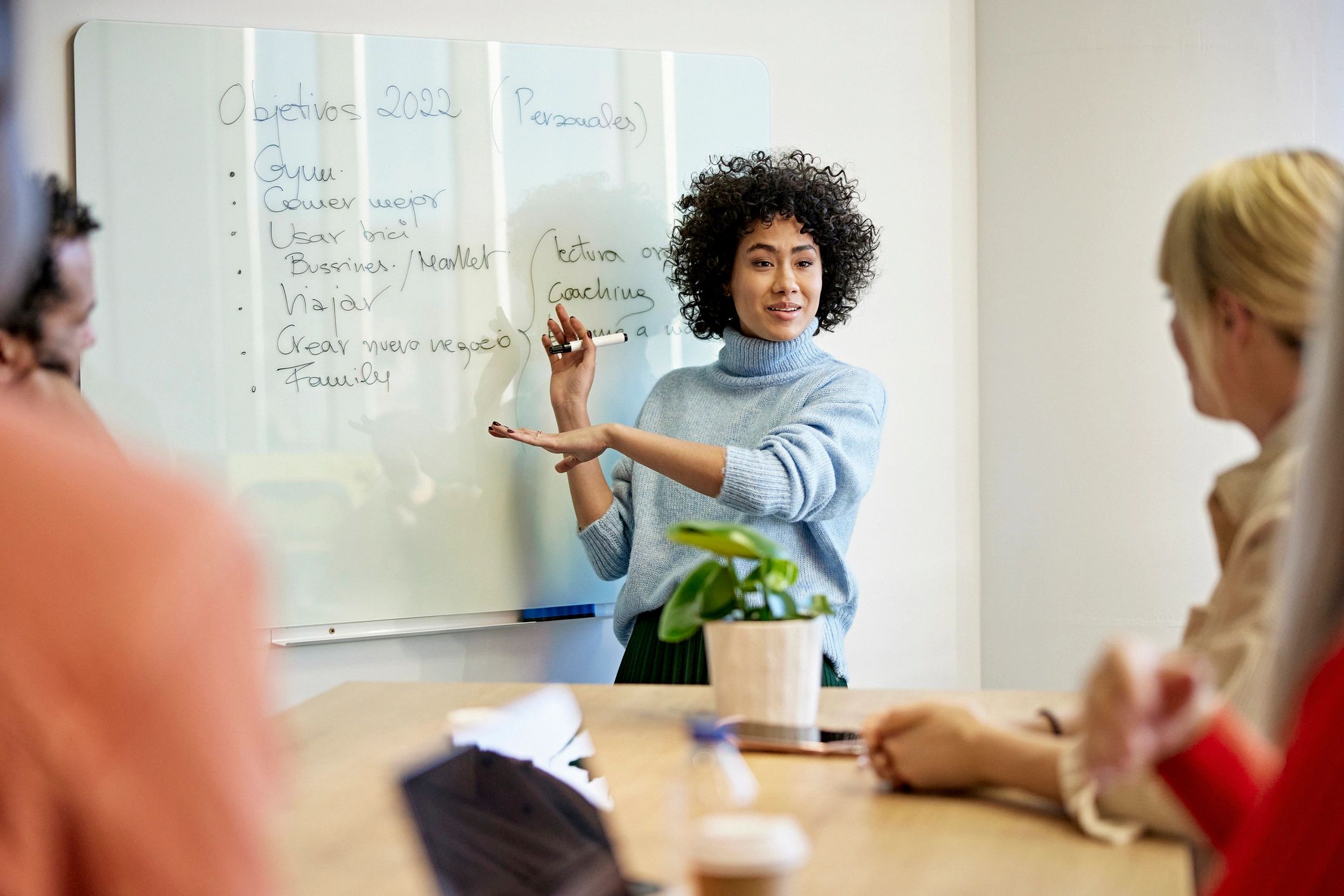 Project manager presenting ideas to a marketing team